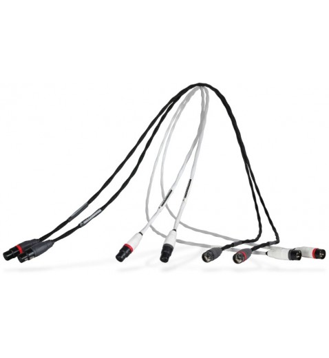 Synergistic Research Foundation IC Synergistic Research Foundation IC